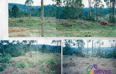 Imagem 8: AREA - INVERNADA - SP. 1.551m² de Área