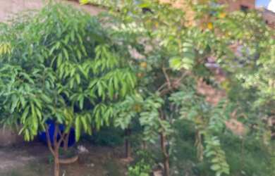 Imagem: O terreno possui 45m² de Área e está localizado em Jardim