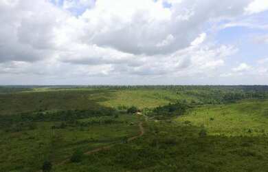 Imagem 16: 62 alqueires no Pará a ,zap R$ 2.500.000,00