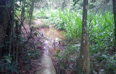 Imagem 6: Vc quer fazer plantio tenho um linda fazendinha de 20 mil m² com muita...