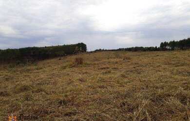 Imagem 4: Sitio a venda em Fernão/SP 12 Hectares para Pastagem, Feno ou Café por...