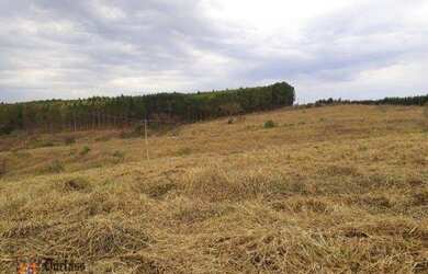 Imagem 15: Sitio a venda em Fernão/SP 12 Hectares para Pastagem, Feno ou Café por...