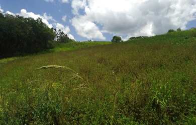 Imagem 4: Lote/Terreno para venda possui 1000 metros quadrados em Veloso - Osasco...
