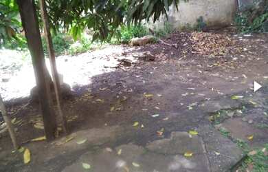 Imagem: O terreno à venda possui e está localizado em Aterrado, Volta