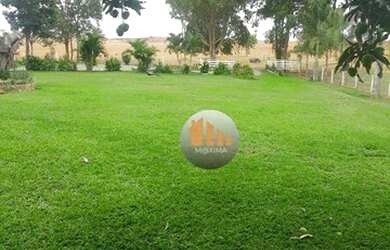 Imagem 4: Fazenda à venda, 1920000 m² por R$ 7.000.000,00 - 1044 - Cabeceira Grande/MG