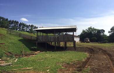 Imagem 7: Extraordinária Fazenda Pecuária no asfalto