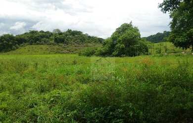 Imagem: A fazenda possui 900.000m² de Área e está localizado em