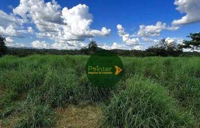 Imagem 11: Fazenda à venda, 1419088 m² por R$ 7.330.000,00 - Zona Rural - Fazenda...