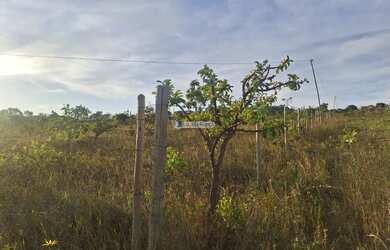 Imagem: O terreno e está localizado em Setor Residencial Leste, Brasília