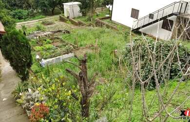 Imagem 4: Terreno para Venda em Nova Petrópolis, Logradouro