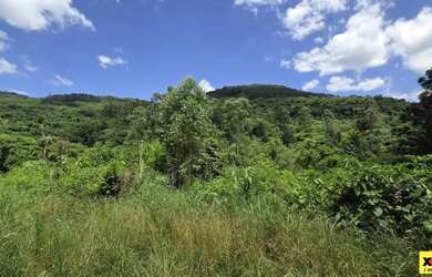 Imagem 6: Sítio / Chácara para Venda em Nova Petrópolis, Stille Eck