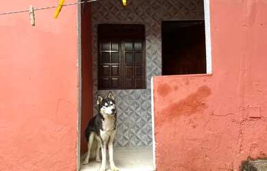 Imagem: A casa possui 2 Dormitórios, 1 Banheiro, 48m² de Área e