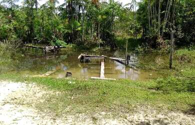 Imagem 11: 62 alqueires no Pará a ,zap R$ 2.500.000,00