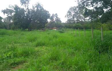 Imagem 4: Vc quer fazer plantio tenho um linda fazendinha de 20 mil m² com muita...