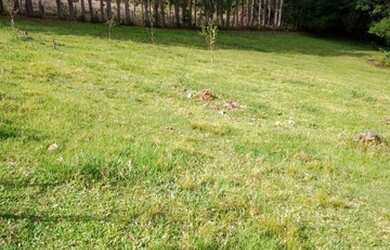 Imagem 16: R- 422 Vendo linda propriedade na Colônia Maciel em Pelotas