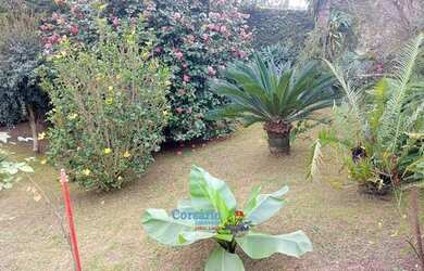 Imagem 11: Vendo Casa no Tingui. Churrasqueira, Varanda, Área de serviçoe194m²...