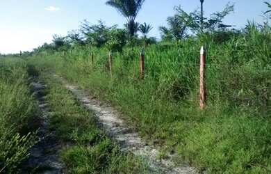 Imagem: A fazenda possui 500.000m² de Área e está localizado em