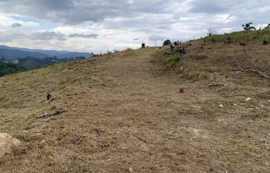 Imagem 7: Lote/Terreno para venda possui 600 metros quadrados