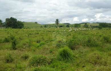 Imagem 5: Fazenda à venda, 900000 m² por R$ 4.000.000,00 - Parada Modelo - Guapimirim/RJ