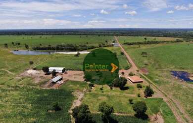 Imagem 9: Fazenda com 3 dormitórios à venda, 5130400 m² por R$ 12.000.000,00...