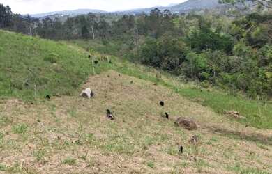 Imagem 11: Lote/Terreno para venda tem 1000 metros quadrados em Usina - Atibaia -...