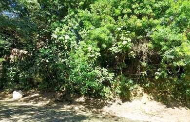 Imagem: LINDO TERRENO FRENTE PARA O LAGO