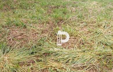 Imagem: O terreno possui 338m² de Área e está localizado em Nova