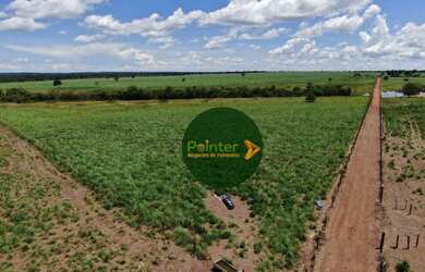 Imagem 14: Fazenda com 3 dormitórios à venda, 5130400 m² por R$ 12.000.000,00...