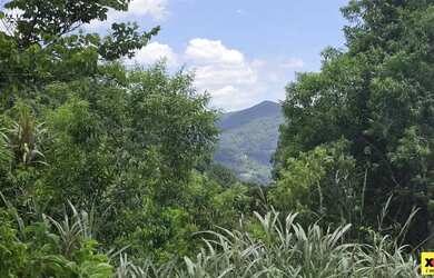 Imagem 10: Sítio / Chácara para Venda em Nova Petrópolis, Stille Eck