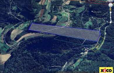 Imagem 13: Sítio / Chácara para Venda em Nova Petrópolis, Pinhal Alto