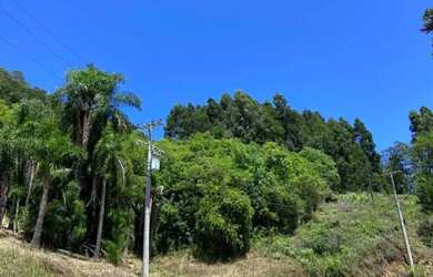 Imagem 11: Sitio - Bairro Linha Ávila