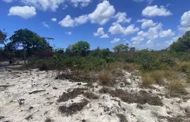 Imagem 2: Terreno. 90m² de Área