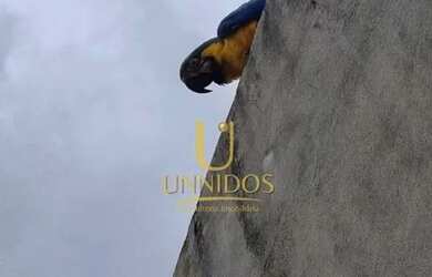 Imagem 9: Casa Novo Horizonte em Alto Paraíso GO - R$ 380.000 reais