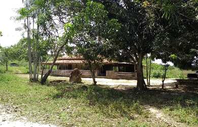 Imagem 12: 62 alqueires no Pará a ,zap R$ 2.500.000,00