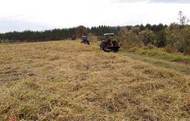 Imagem 16: Sitio a venda em Fernão/SP 12 Hectares para Pastagem, Feno ou Café por...