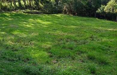 Imagem 12: R- 422 Vendo linda propriedade na Colônia Maciel em Pelotas