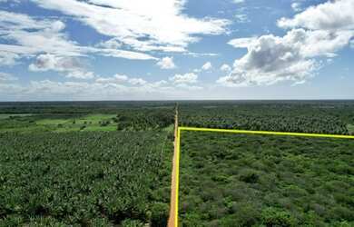 Imagem 5: Área à venda, 340000 m² por R$ 977.000,00 - Touros - Touros/RN