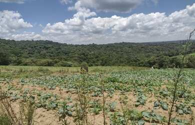 Imagem 2: Lote/Terreno para venda com 1000 metros quadrados em Jardim Lavapes das...