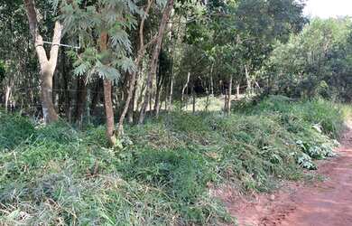 Imagem 1: Lote / terreno em Juquitiba