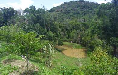 Imagem 4: Chácara em Juquitiba a venda