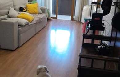 Imagem: O apartamento possui 4 Dormitórios, 2 Banheiros, 2 Vagas na