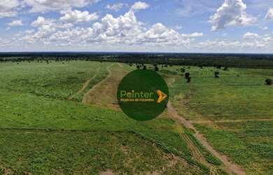 Imagem 15: Fazenda com 3 dormitórios à venda, 5130400 m² por R$ 12.000.000,00...