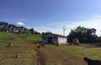 Imagem 8: Extraordinária Fazenda Pecuária no asfalto