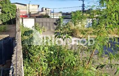 Imagem 13: Taquara Terreno. 4.300m² de Área