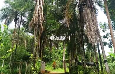 Imagem 12: Rancho com 4 suítes disponível para venda na Área Rural de Uberlândia-MG