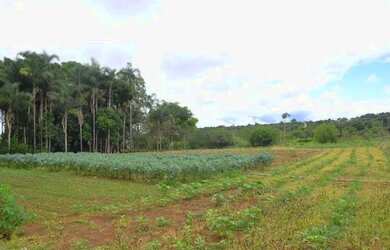 Imagem: A fazenda possui 160m² de Área e está localizado em Tocantins