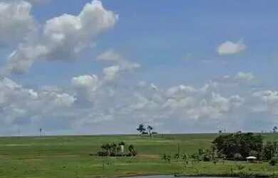 Imagem 2: FAZENDA À VENDA EM CARNEIRINHO MG 774,4 HECTARES PECUÁRIA