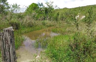 Imagem 7: 62 alqueires no Pará a ,zap R$ 2.500.000,00