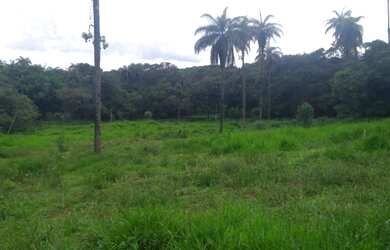 Imagem 3: Vc quer fazer plantio tenho um linda fazendinha de 20 mil m² com muita...