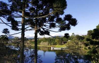 Imagem 6: Terreno com 1.318,34m² em Piraquara - Condomínio Residencial Betaville